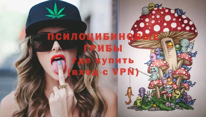 Галлюциногенные грибы Magic Shrooms  Черняховск 